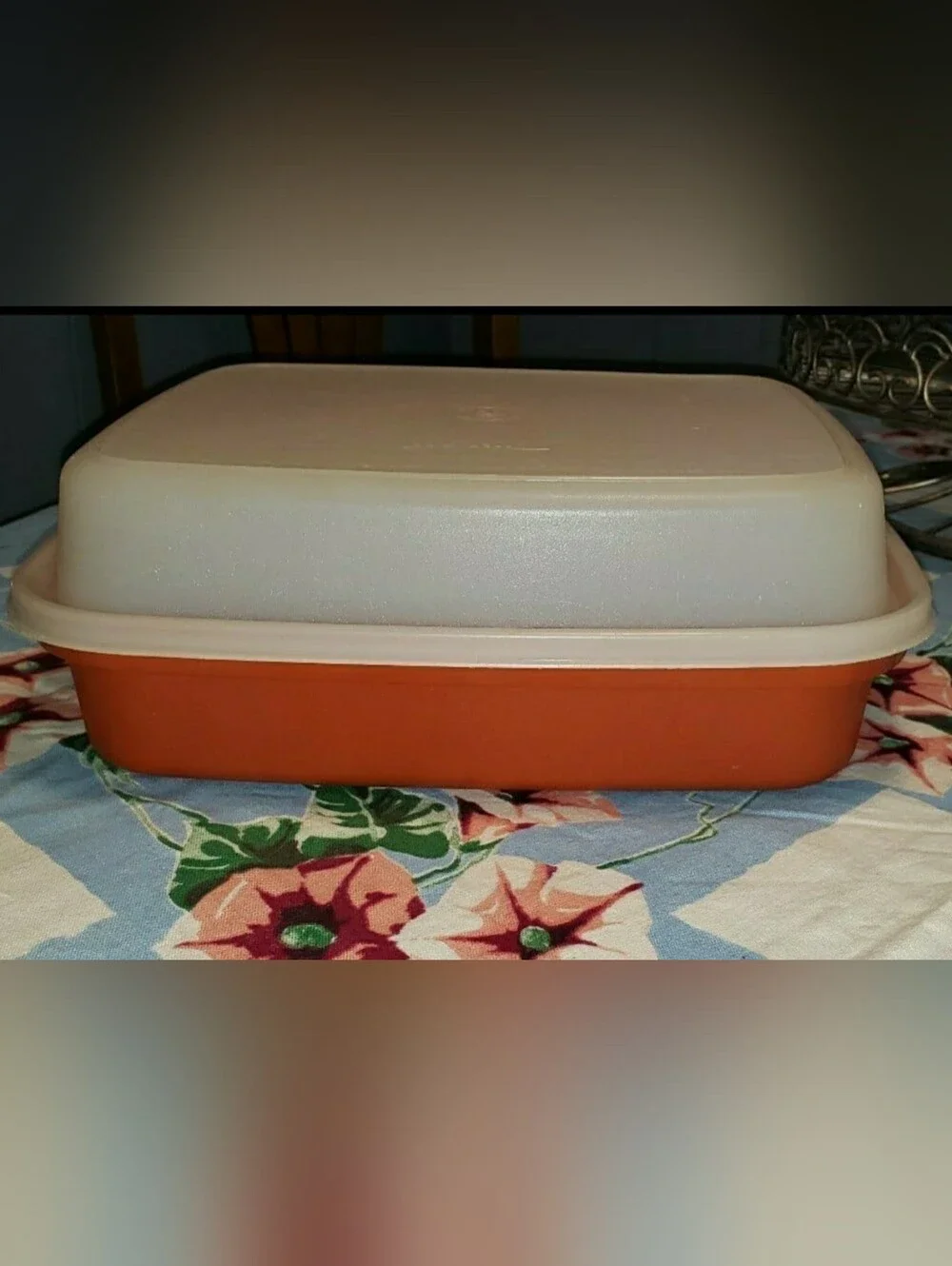 Vintage Two (2) Piece Orange Season & Serve Meat Marinade Tupperware Container